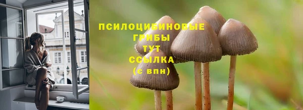 mdpv Бородино