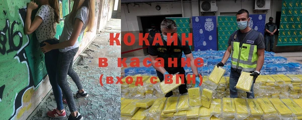 mdpv Бородино