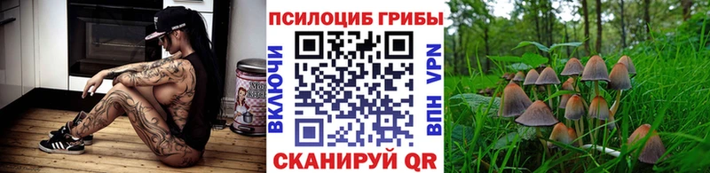 Псилоцибиновые грибы мицелий  где купить наркотик  Новохопёрск 
