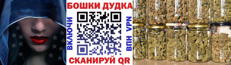 где найти наркотики  Новохопёрск  Марихуана White Widow 